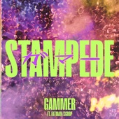 Stampede (feat. Fatman Scoop) artwork