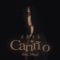 Cariño (feat. Mocci) - Leil lyrics