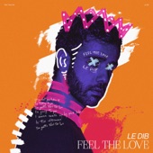 Feel the Love artwork