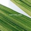 Everything I Need - Single