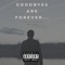 Goodbyes Are Forever... - Dre King lyrics