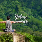 Nature Sounds For Meditating - EP artwork