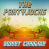 The Partyjocks - Sweet Caroline