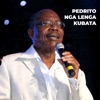 Nga Lenga Kubata - Single