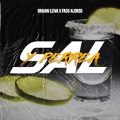 Sal y Perrea (feat. Facu Alonso) [Remix] artwork