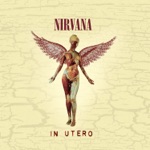 Nirvana - Scentless Apprentice