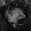 Les Fils du Calvaire - Femme d'affaires