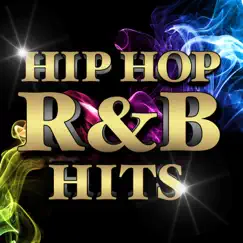 Hip Hop R&B Hits by Various Artists album reviews, ratings, credits
