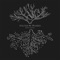 La Terminal - David Castro lyrics