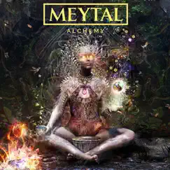 Alchemy by Meytal album reviews, ratings, credits