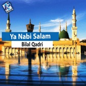 Ya Nabi Salam artwork