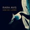 Rambling Roses - Rara Avis lyrics