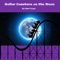 Roller Coasters on the Moon - Kari Loya lyrics