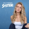 System - Single