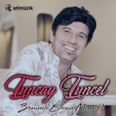 Hain İstanbul - Tuncay Tuncel