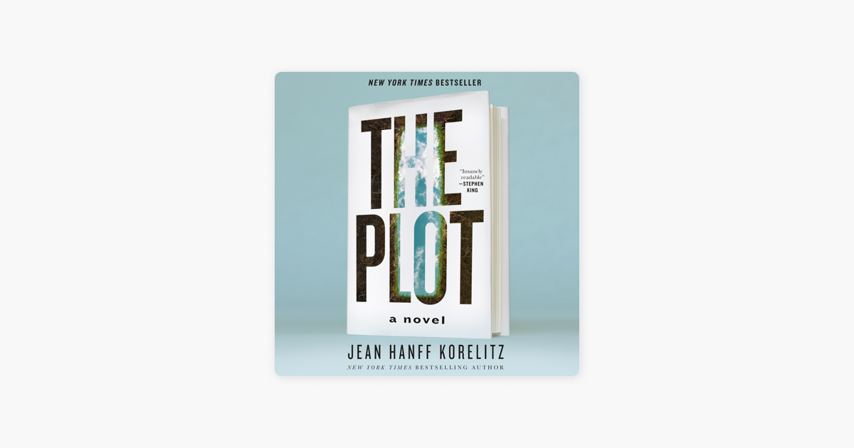 the plot book review guardian