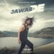 Jawab De artwork