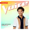 Stand Up (The Voice Performance) - Single album lyrics, reviews, download
