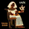 Feeling Good (From "Liberated / Music For the Movement Vol. 3") - Single album lyrics, reviews, download