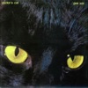 Doctor's Cat - Feel the Drive