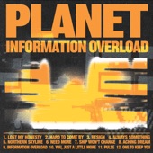 Information Overload artwork