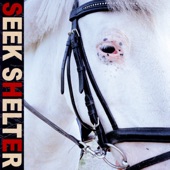Seek Shelter (Special Edition) artwork