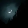 Moonlight Shadow - Single album lyrics, reviews, download