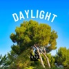 Daylight - Single
