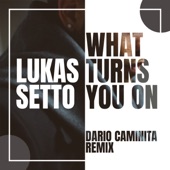 What Turns You On (Dario Caminita Remix) artwork