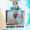 Quiero Verte Remix - Single
