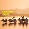 Yasar Taner - Sebepsiz Anlar