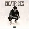 Stream & download Cicatrices - Single