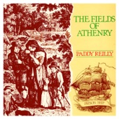 The Fields of Athenry artwork