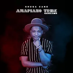Amapiano Tribe 2 by Shuga Cane album reviews, ratings, credits