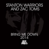 Bring Me Down (Vocal Mix) [feat. Zac Toms] artwork