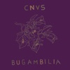 Bugambilia - Single