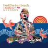 Buddha-Bar Beach Mykonos, 2015