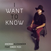 I Want to Know (feat. Omer Fedi) artwork