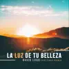 La Luz de Tu Belleza (feat. Theo Rubia) - Single album lyrics, reviews, download