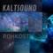 Biosphere - Kaltsound lyrics