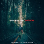 Back 2 the Woods artwork