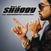 The Boombastic Collection - Best of Shaggy - Shaggy