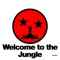 Welcome to the Jungle artwork