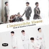 L'impossibile Vivere artwork