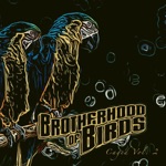 Brotherhood of Birds - Dragging My Feet