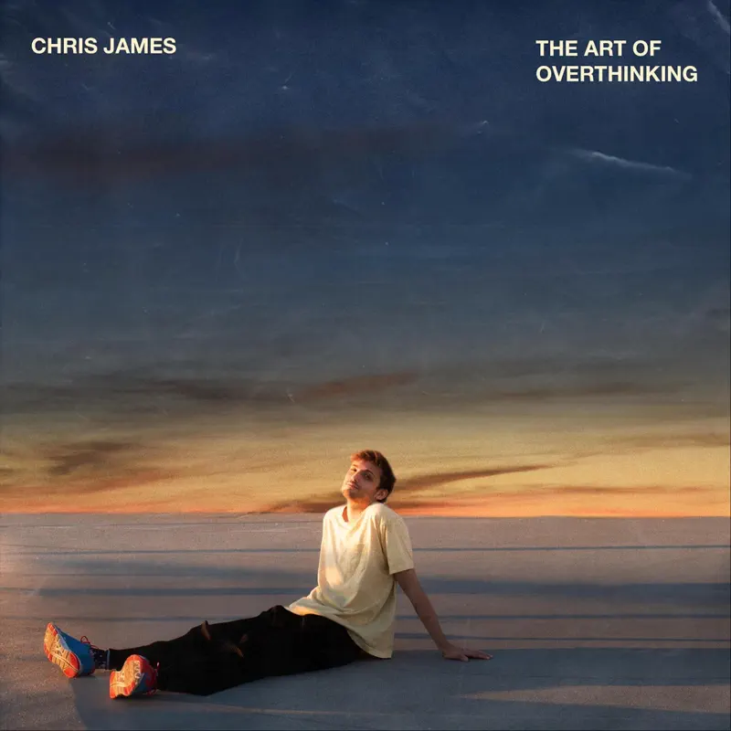 Chris James - The Art of Overthinking (2020) [iTunes Plus AAC M4A]-新房子