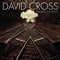 White Bird (feat. Sonja Karaushofer) - David Cross lyrics