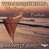 The Best of Panflute