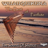 The Best of Panflute artwork