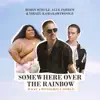 Somewhere Over the Rainbow / What a Wonderful World - Single album lyrics, reviews, download